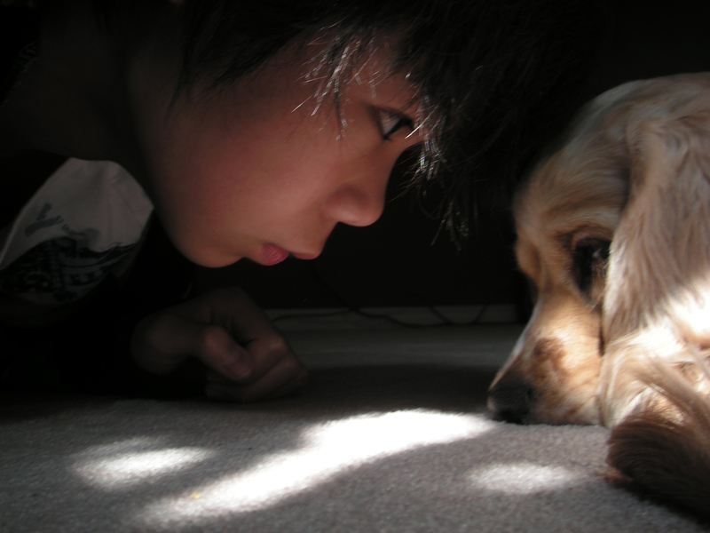 Illustration for article titled Shooting Challenge Pets Gallery 1